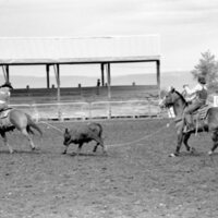 1978 Rodeo, Roping Pairs 12