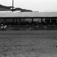 1981 Rodeo, Calf Roping 10