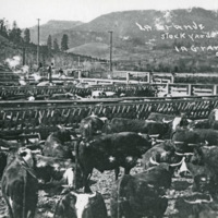 La Grande Stockyards