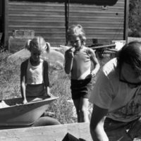 1981 Wallowa Mt. Field Station 10