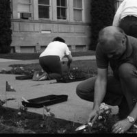 1991 Employees, Planting 01