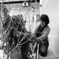 1988 Staff Awards, Set-up 06