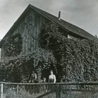Wallowa Home 1