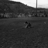 1981 Rodeo, Goat Roping 03