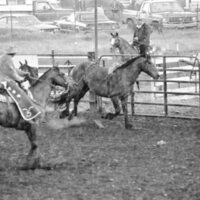 1978 Rodeo, Bronco Riding 04