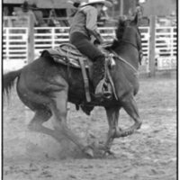 1991 Eastern Rodeo, Barrel Racing 03