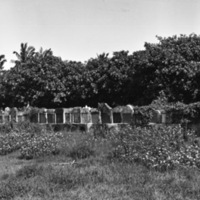 Binmaley Cemetery 3