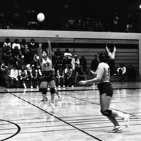 1981 Volleyball Action 24
