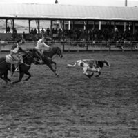 1984 Rodeo Club, Roping Pairs 05