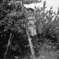 La Grande Farm, Huffman 4