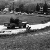 1981 Campus Tree Plantings 14
