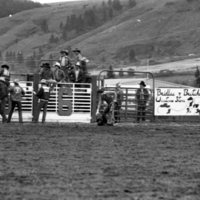 1984 Rodeo Club, Bull Riding 07