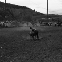 1981 Rodeo, Goat Roping 09