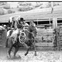 1991 Eastern Rodeo, Roping 10