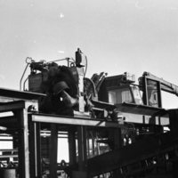 1980 Log Plant 02
