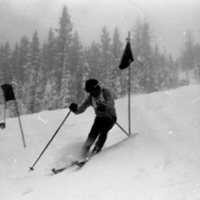 1981 Skiing, Men's Competition 13