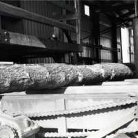1980 Log Plant 14