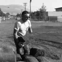 1981 Football Field, New Grass 03