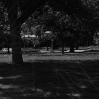 1981 Campus from Inlow Hall 01