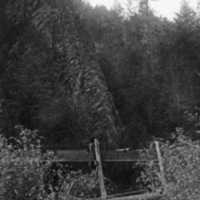 Cove, Stream 1
