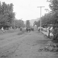 Cove, Street Scene 4
