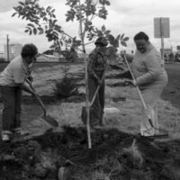 1985 Soroptimist Tree Plantings 02
