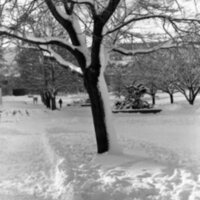 1984 Campus in Winter 04