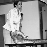 1985 Ackerman Elementary School, Safari 13