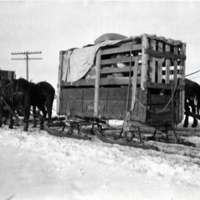 1912 Joseph, Elk Imports 1
