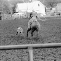 1987 Rodeo, Roping 04