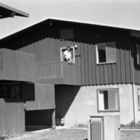 1976 Eocene Apts
