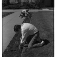 1989 Employees, Planting 13