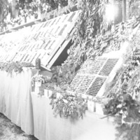 Cove, Cherry Fair Display 16