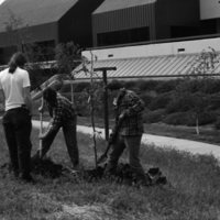 1981 Campus Tree Plantings 03