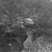 Reuter Group-O, Little Creek 3