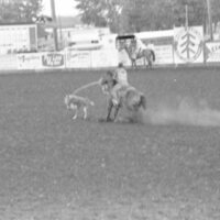 1978 Rodeo, Roping 02