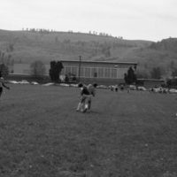 1981 Football, Summer Training 13