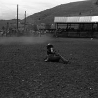 1981 Rodeo, Goat Roping 02
