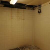 Dorian and Hunt Hall 388