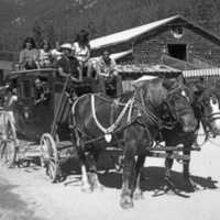 Horses and Stagecoach