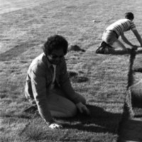 1981 Football Field, New Grass 12