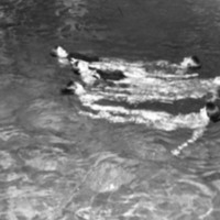 1979 Swimming, Synchronized 27