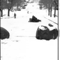 1988 Campus in Winter, Sledding 01