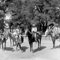 Cove, Pack Mules 2