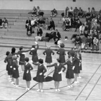1964 Drill Team