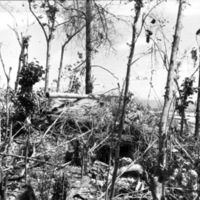 Japanese "Pill Box" 3