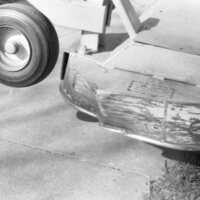 1984 Lawnmower Damage, April 03