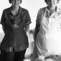 1985 Chancellor Visit, Cake 05