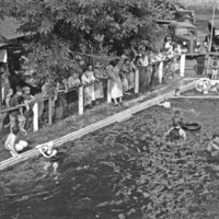 Cove Pool, Swimming 5