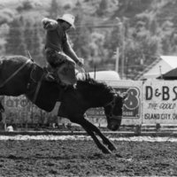 80's Rodeo, Bronco Riding 3-4